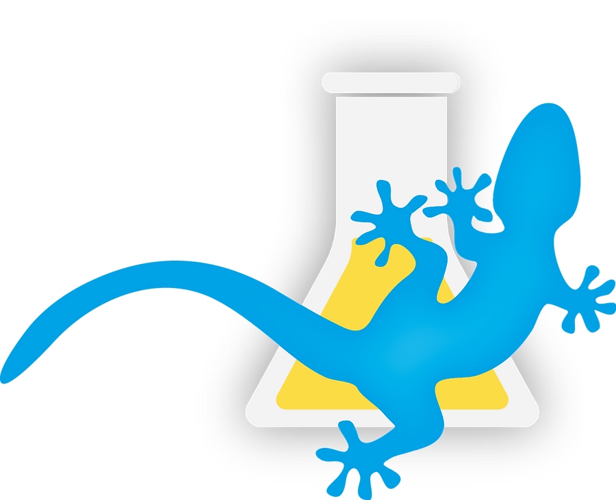 Big Science gecko climbing on a conical flask