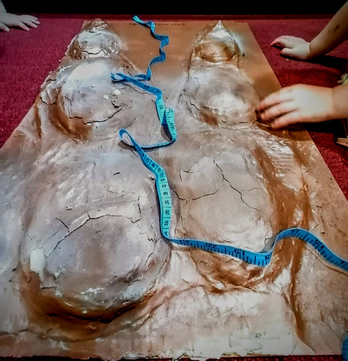 A model of a dragon's footprint